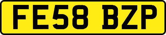 FE58BZP