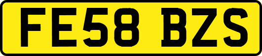 FE58BZS