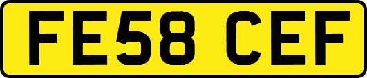 FE58CEF