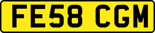 FE58CGM
