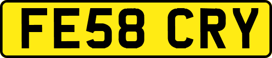 FE58CRY