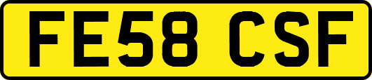 FE58CSF