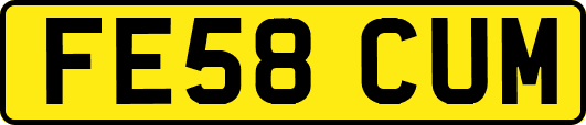 FE58CUM