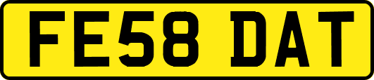 FE58DAT