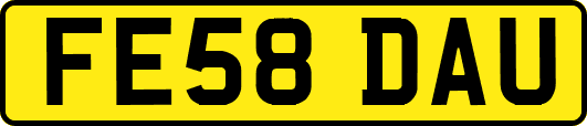 FE58DAU