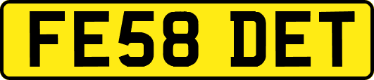 FE58DET