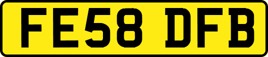 FE58DFB