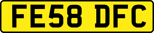 FE58DFC