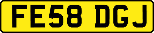 FE58DGJ