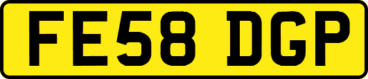 FE58DGP