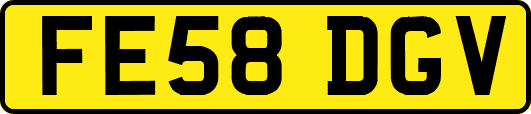 FE58DGV