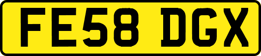 FE58DGX