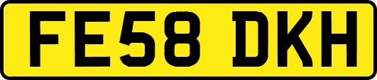 FE58DKH