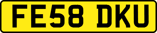 FE58DKU