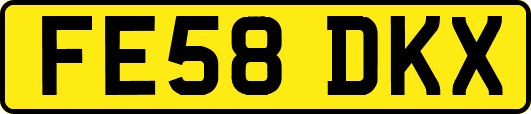 FE58DKX