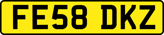 FE58DKZ