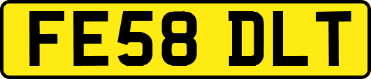 FE58DLT