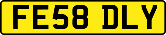 FE58DLY