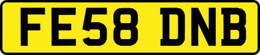 FE58DNB