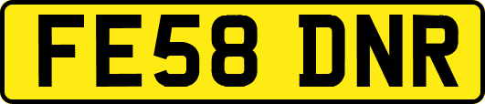 FE58DNR