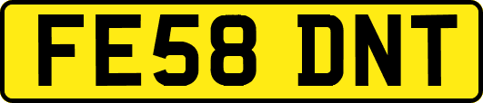 FE58DNT