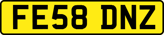 FE58DNZ