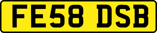 FE58DSB