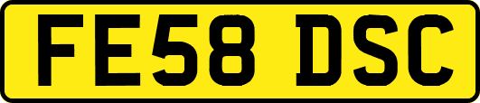 FE58DSC