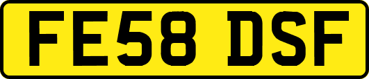 FE58DSF