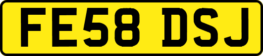 FE58DSJ