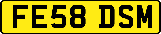 FE58DSM