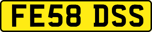 FE58DSS