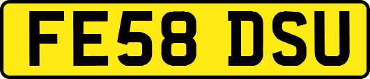 FE58DSU