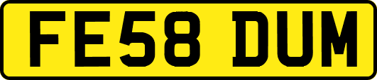 FE58DUM