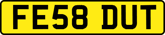 FE58DUT