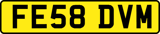 FE58DVM