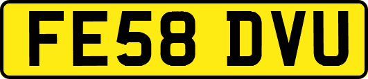 FE58DVU