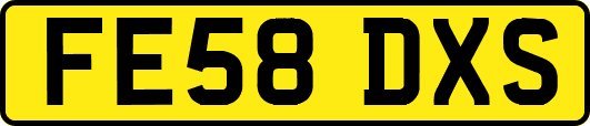 FE58DXS