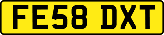 FE58DXT