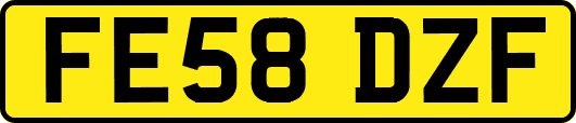 FE58DZF