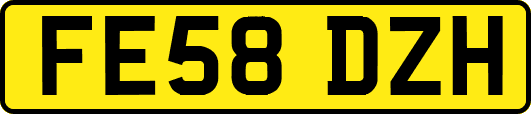 FE58DZH