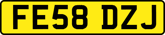 FE58DZJ