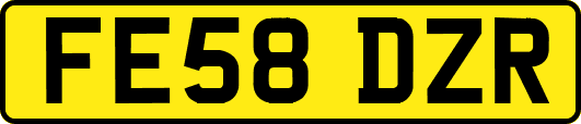 FE58DZR