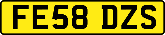 FE58DZS