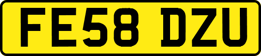 FE58DZU