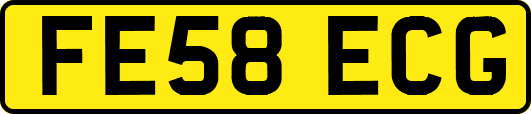 FE58ECG