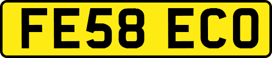 FE58ECO