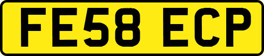 FE58ECP