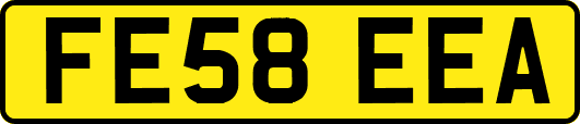FE58EEA