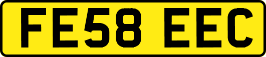 FE58EEC